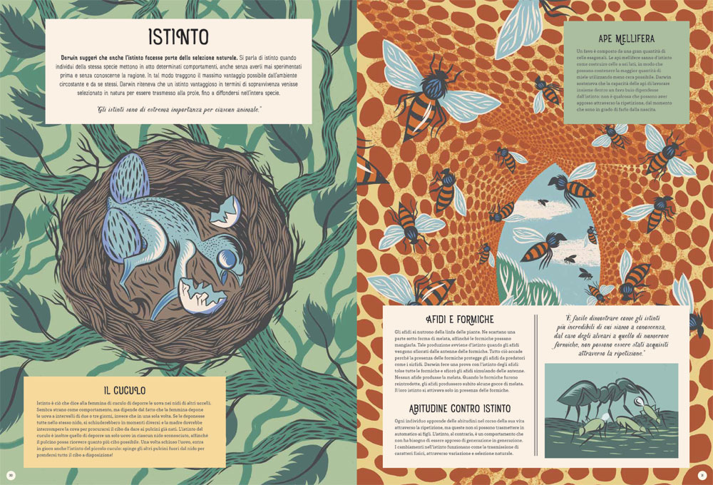 interno L’Origine delle Specie