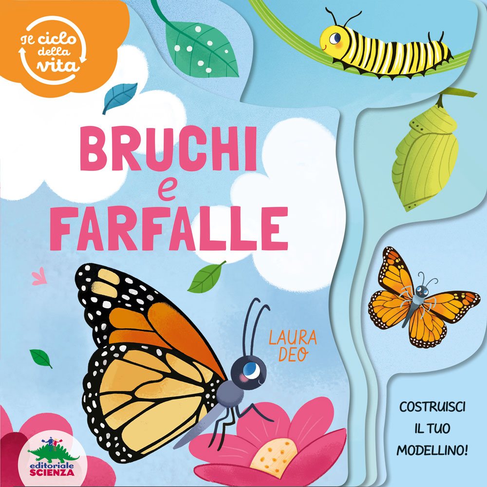 Bruchi e farfalle