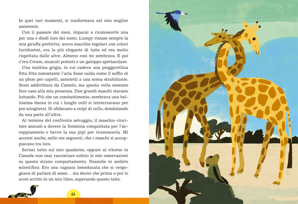 interno L’amica delle giraffe