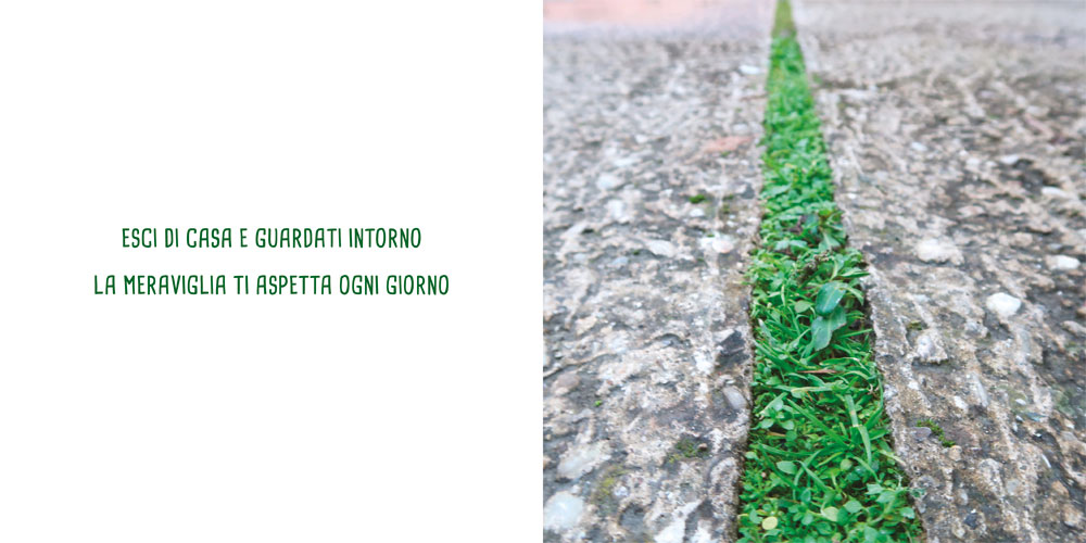 interno Piccolo verde