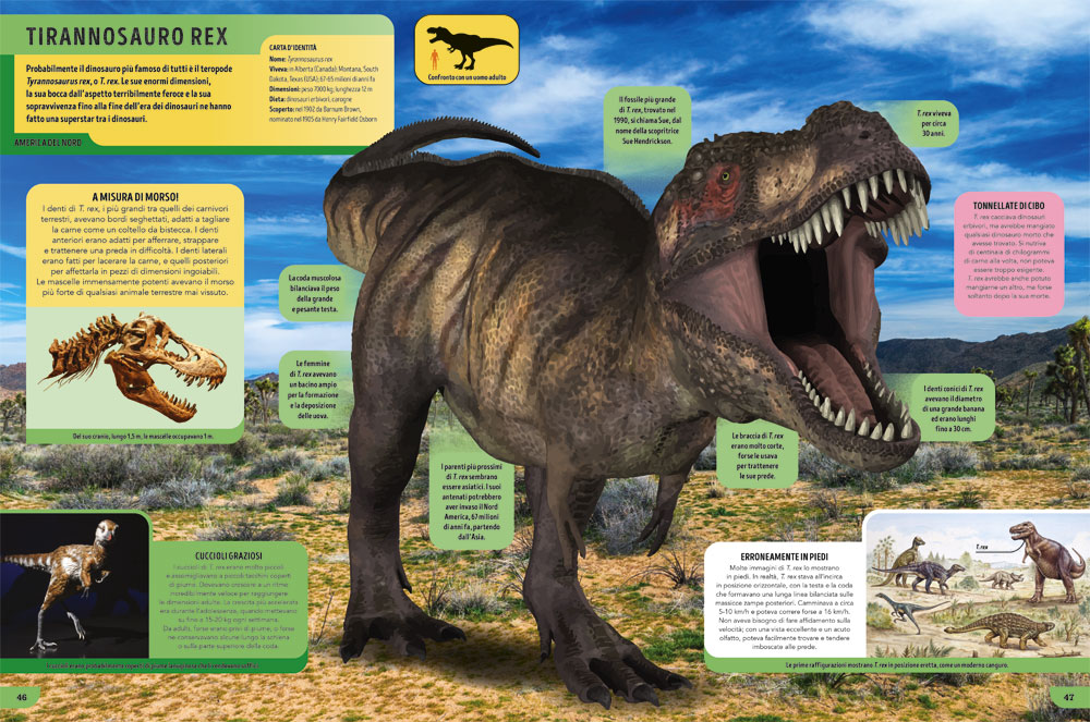 interno Il libro dei dinosauri