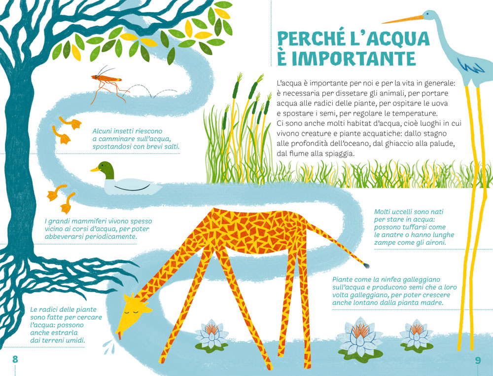 interno Il ciclo dell’acqua