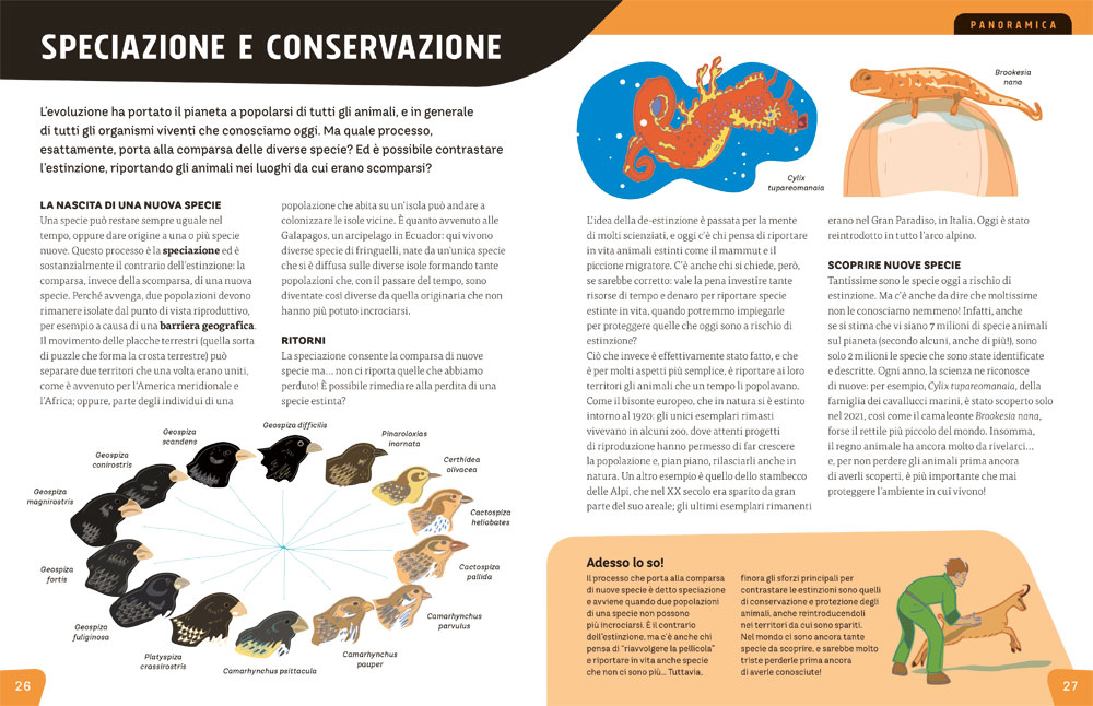 interno Animali