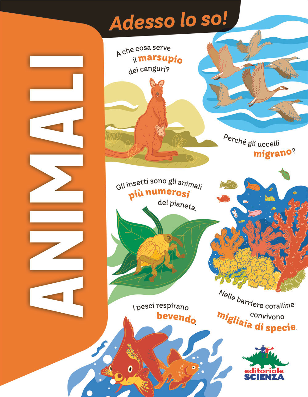 Animali