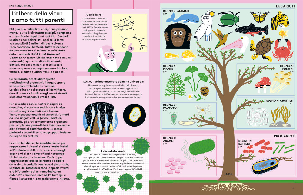 interno Meravigliosa biologia