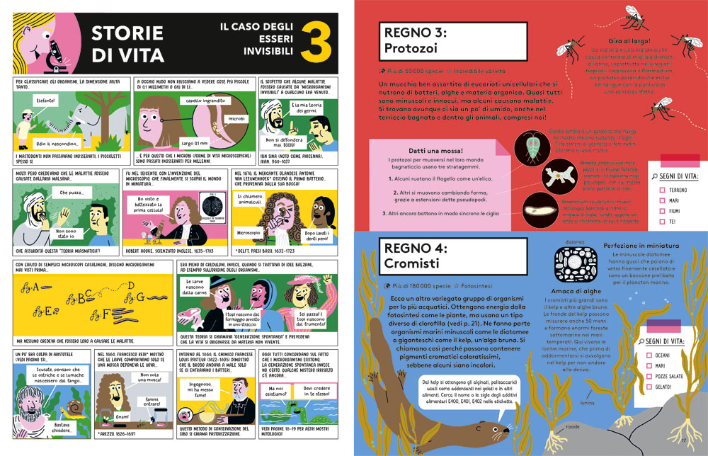 interno Meravigliosa biologia