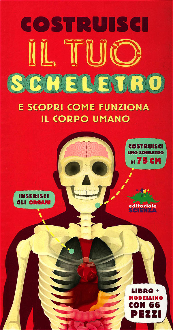 Costruisci il tuo scheletro