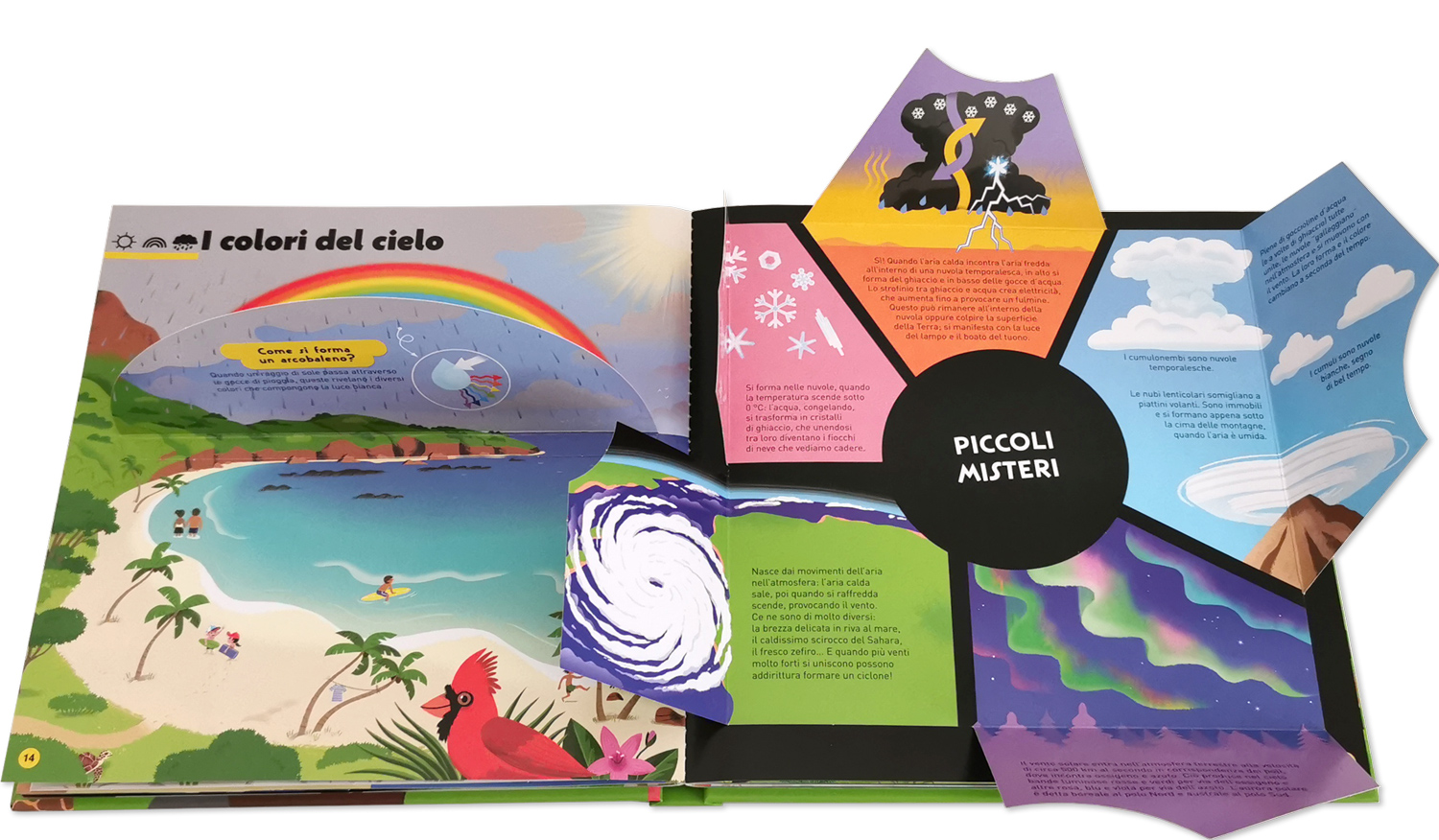 interno Il libro pop-up della natura