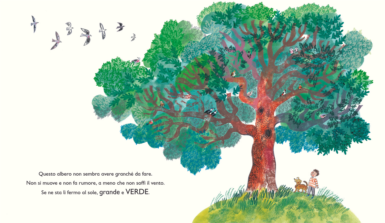 interno Verde