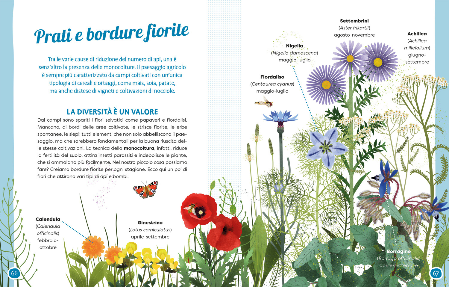 interno Api e fiori