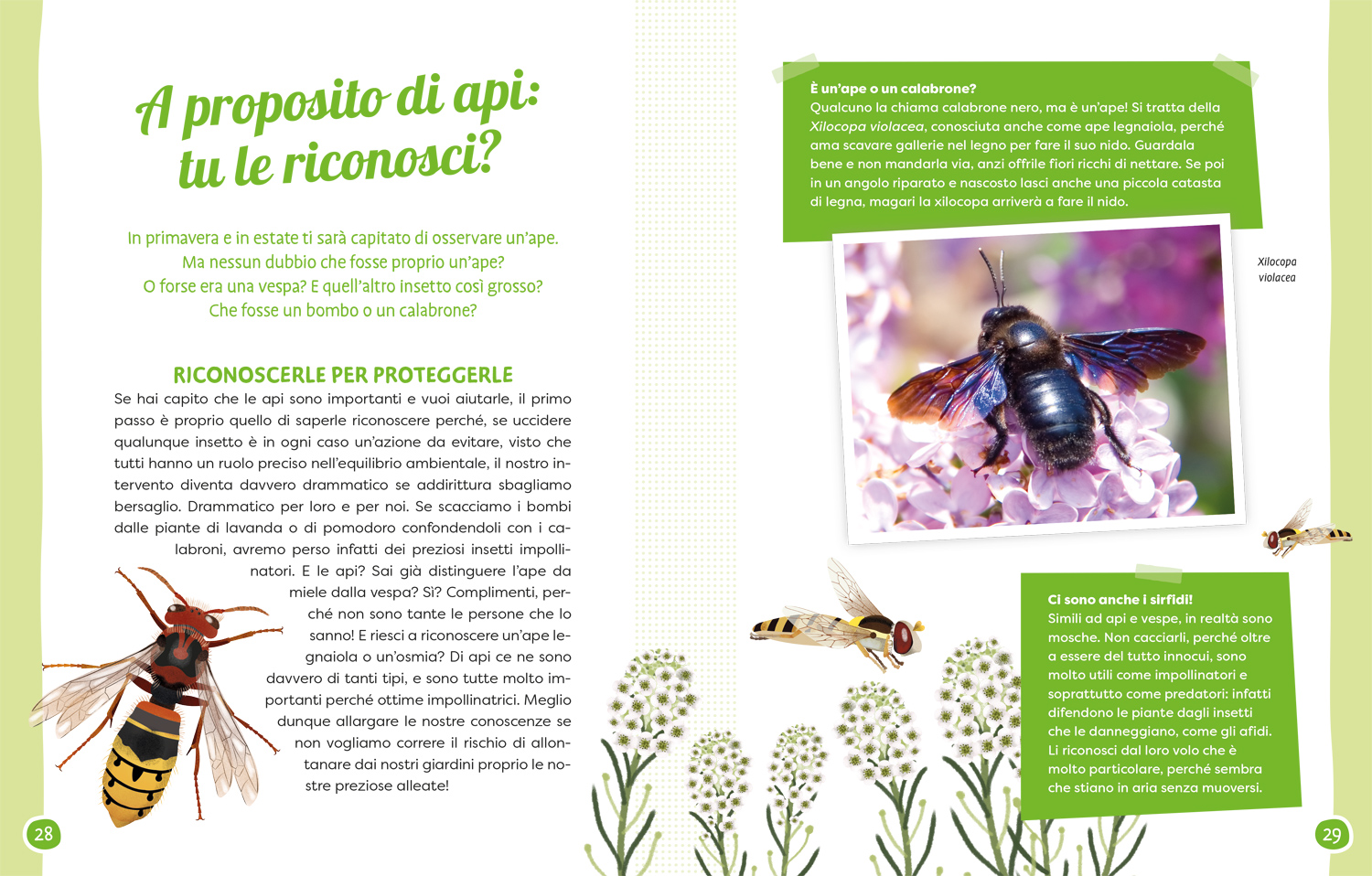 interno Api e fiori