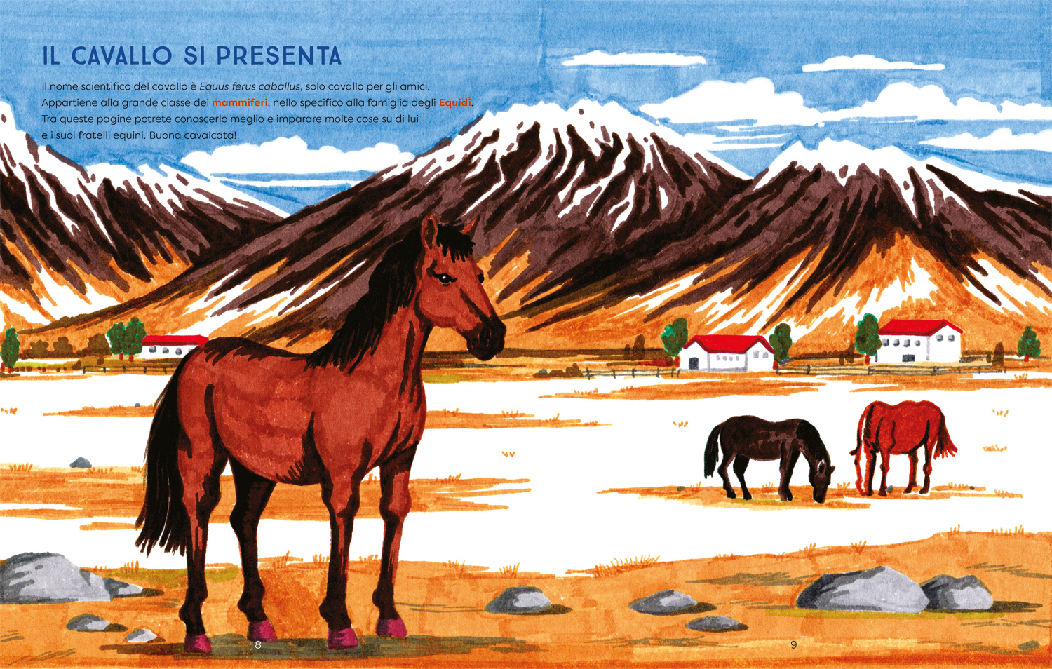 interno Al galoppo! Il libro illustrato dei cavalli