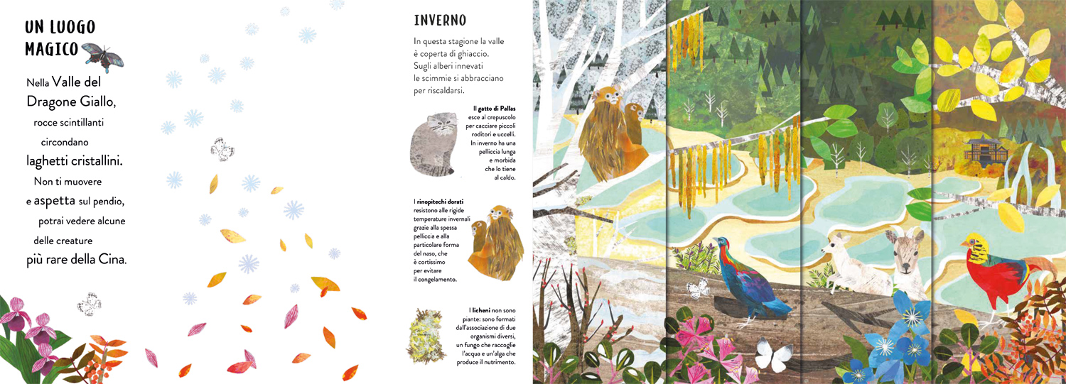 interno Stagioni