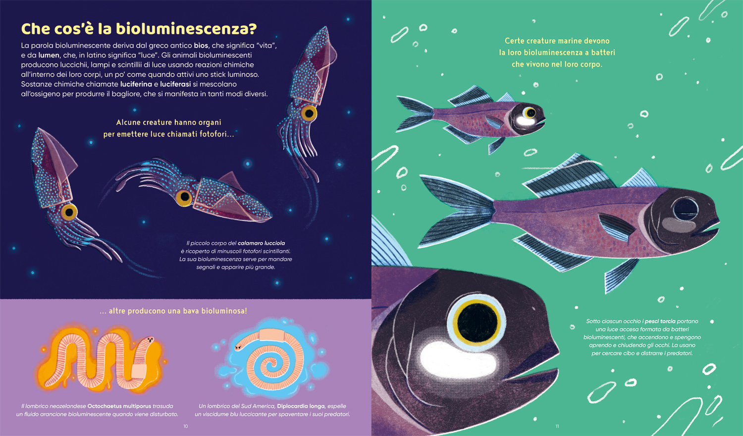 interno Animali che brillano al buio