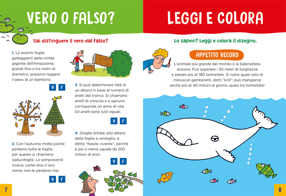 interno Giochi e quiz per cervelli curiosi – Natura