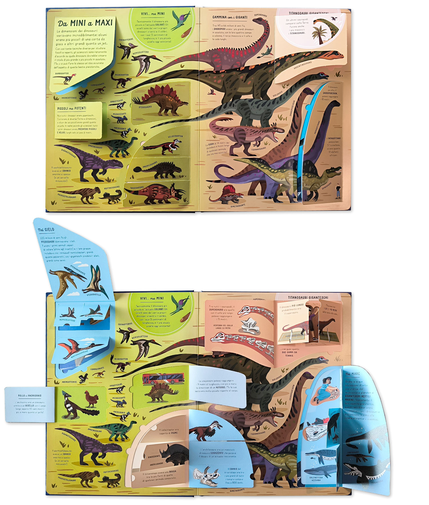 interno Scopri il mondo dei dinosauri