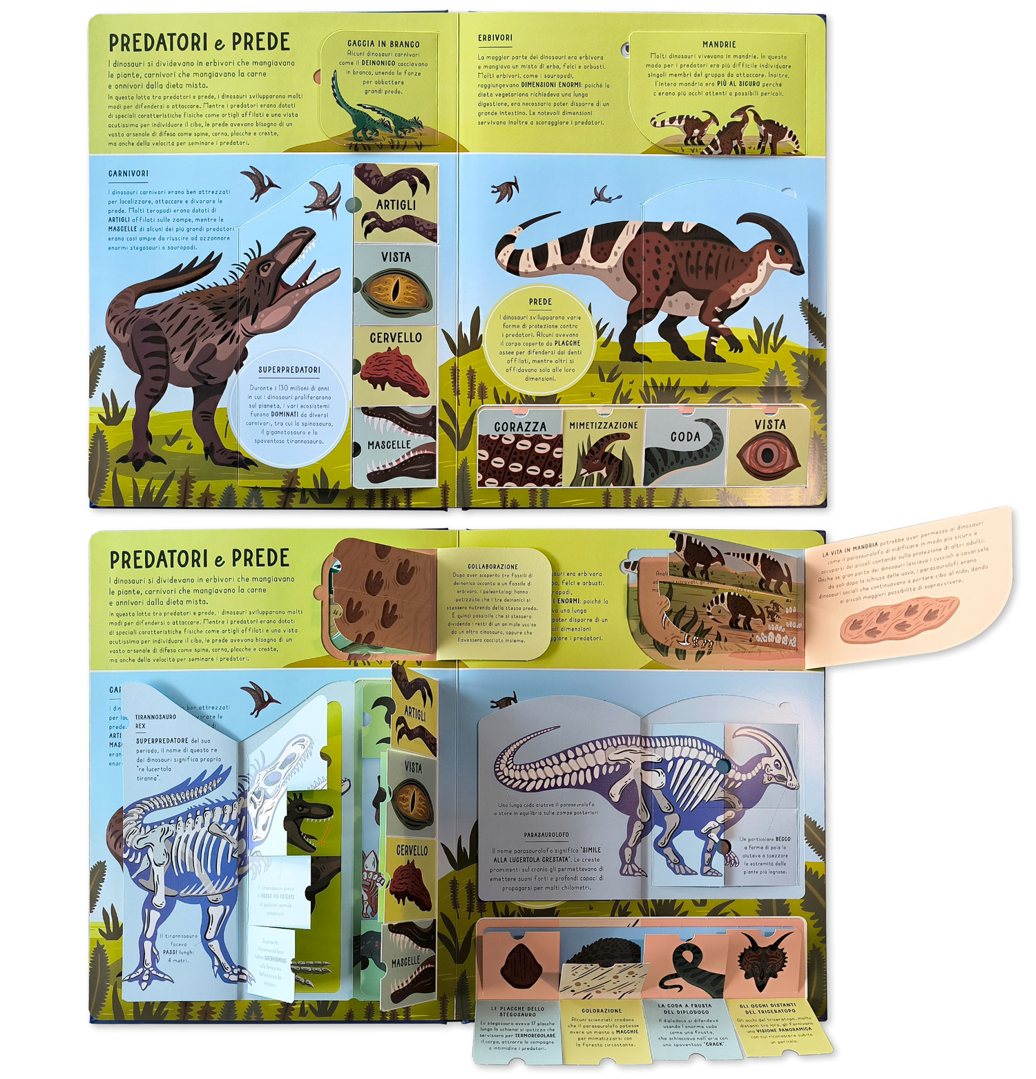 interno Scopri il mondo dei dinosauri