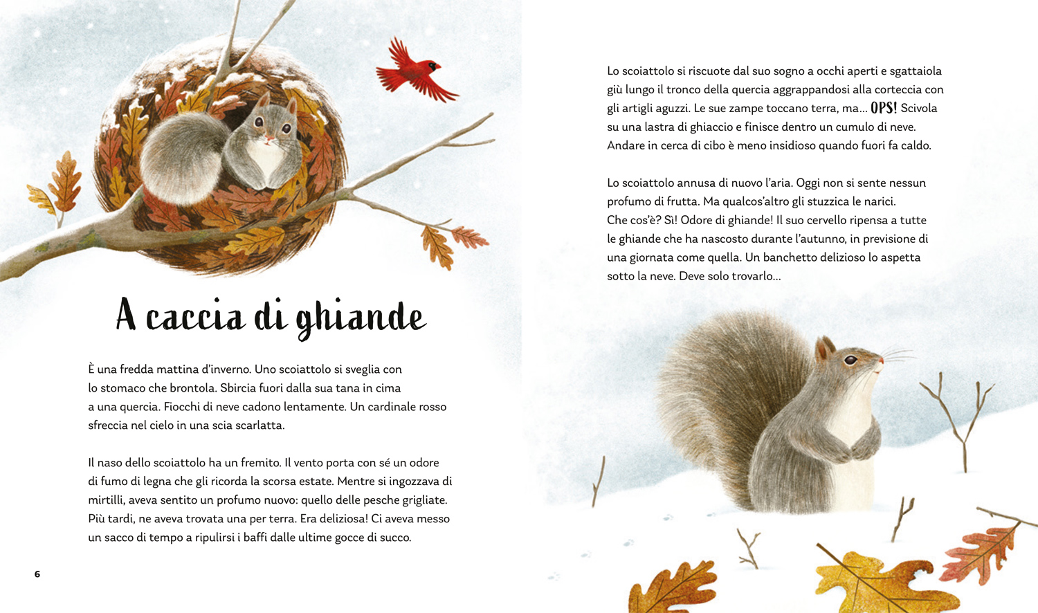 interno I segreti della foresta