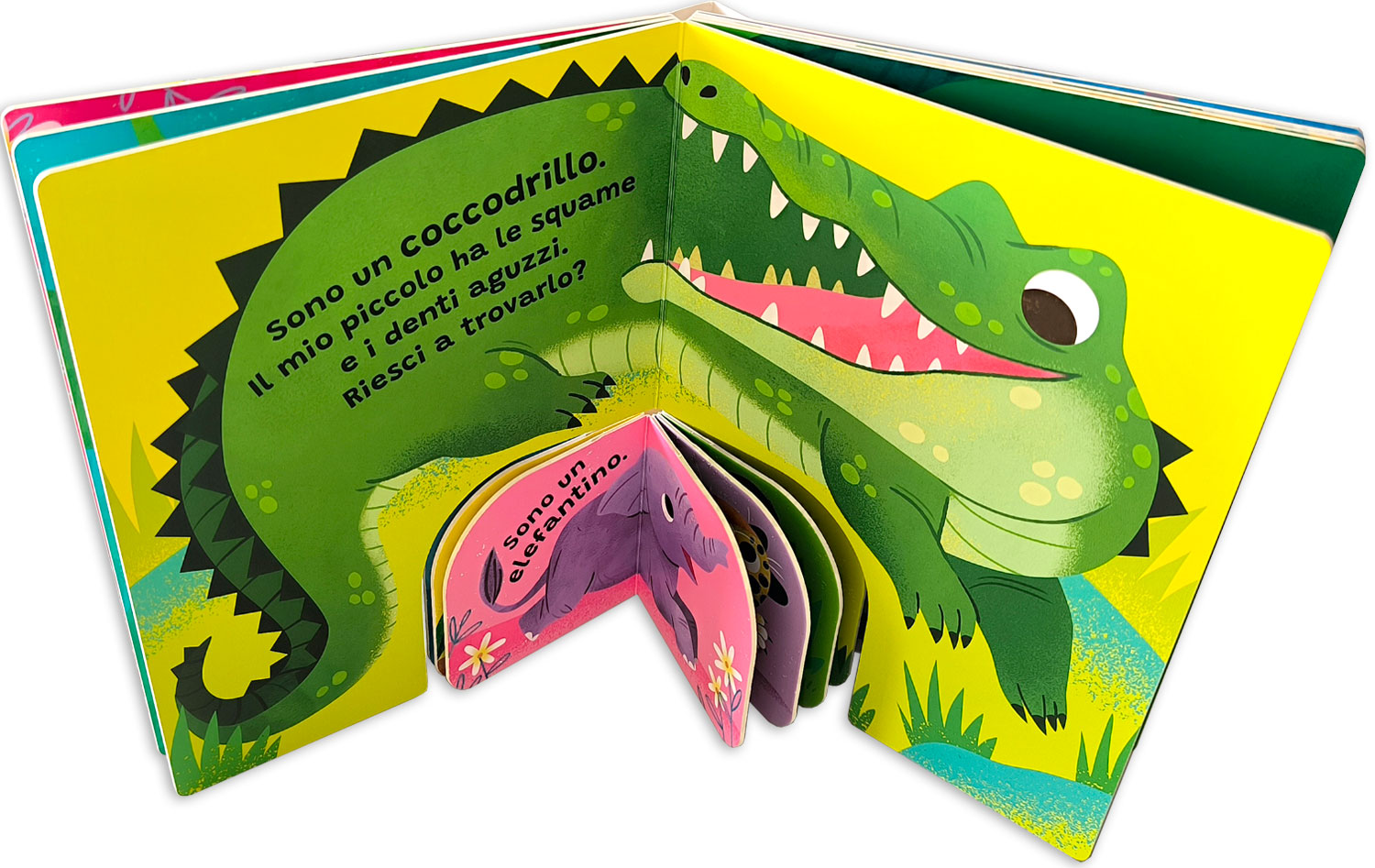 interno Forma la coppia – Giungla