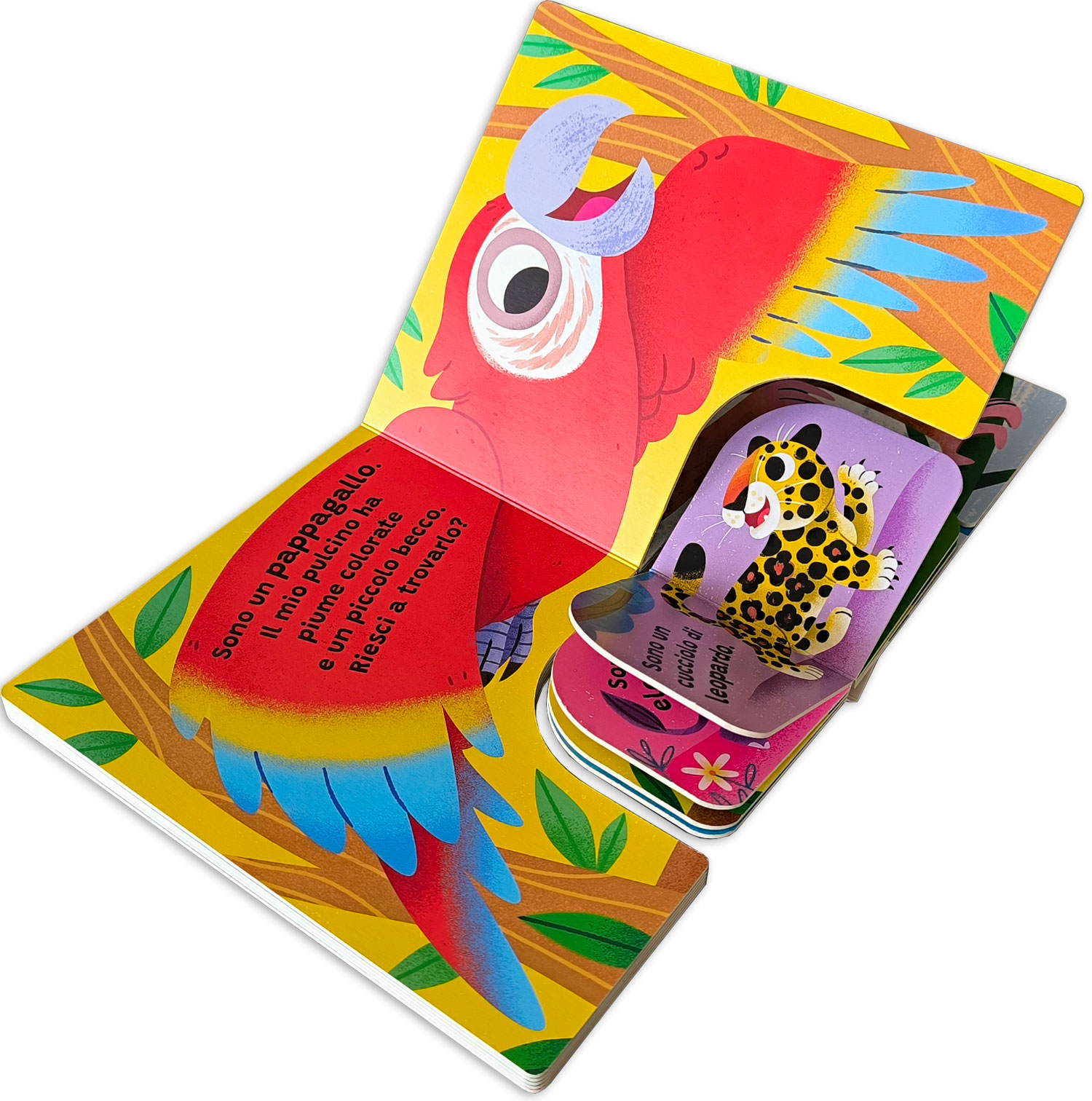 interno Forma la coppia – Giungla