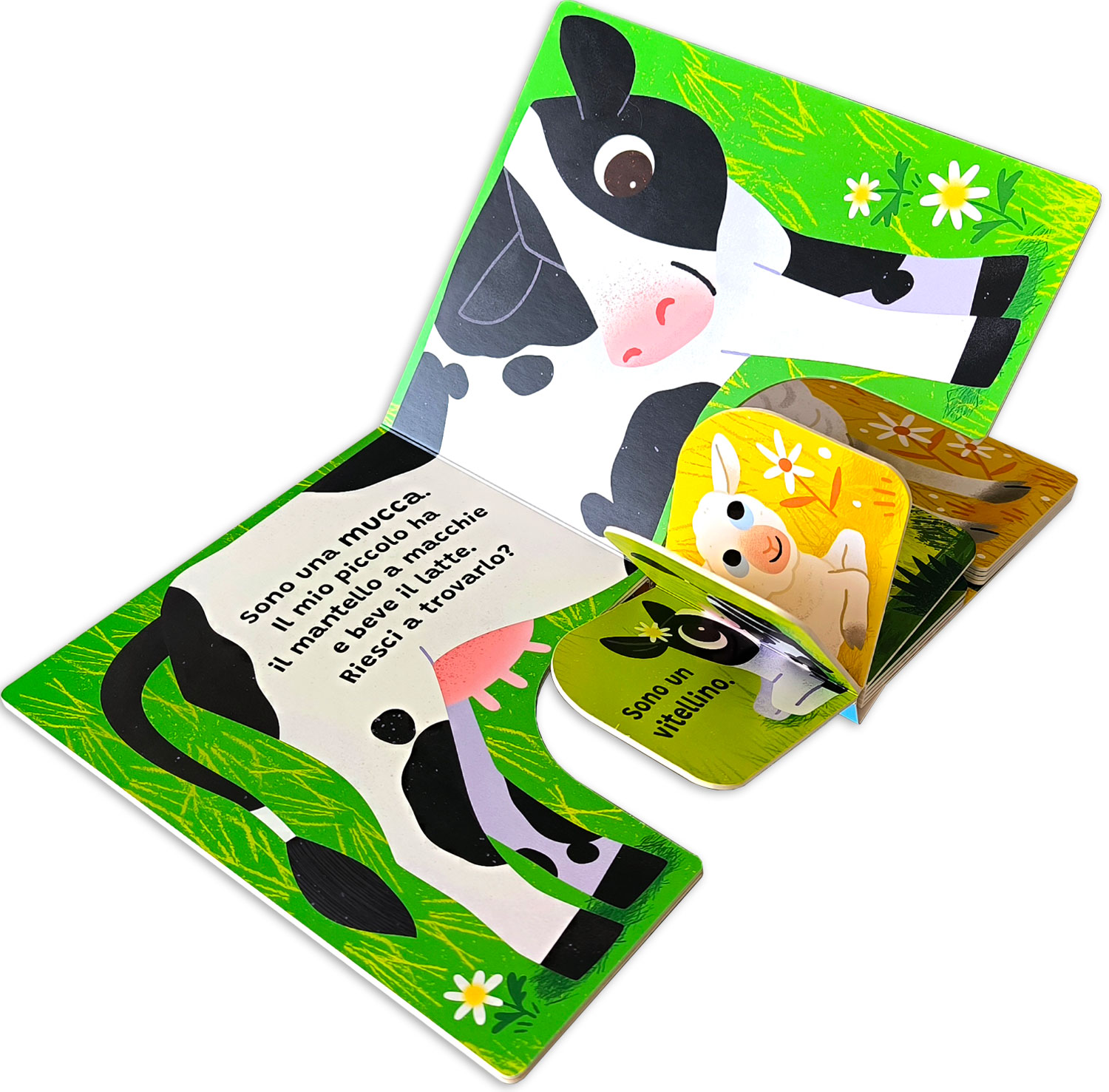 interno Forma la coppia – Fattoria