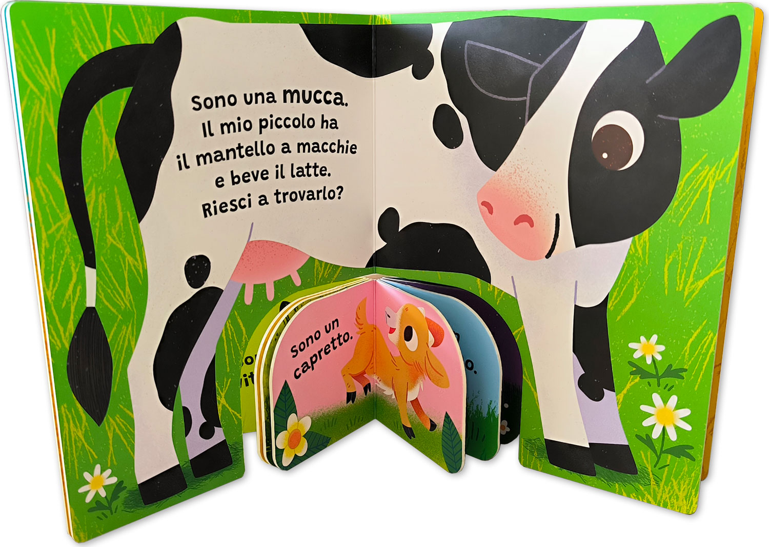 interno Forma la coppia – Fattoria