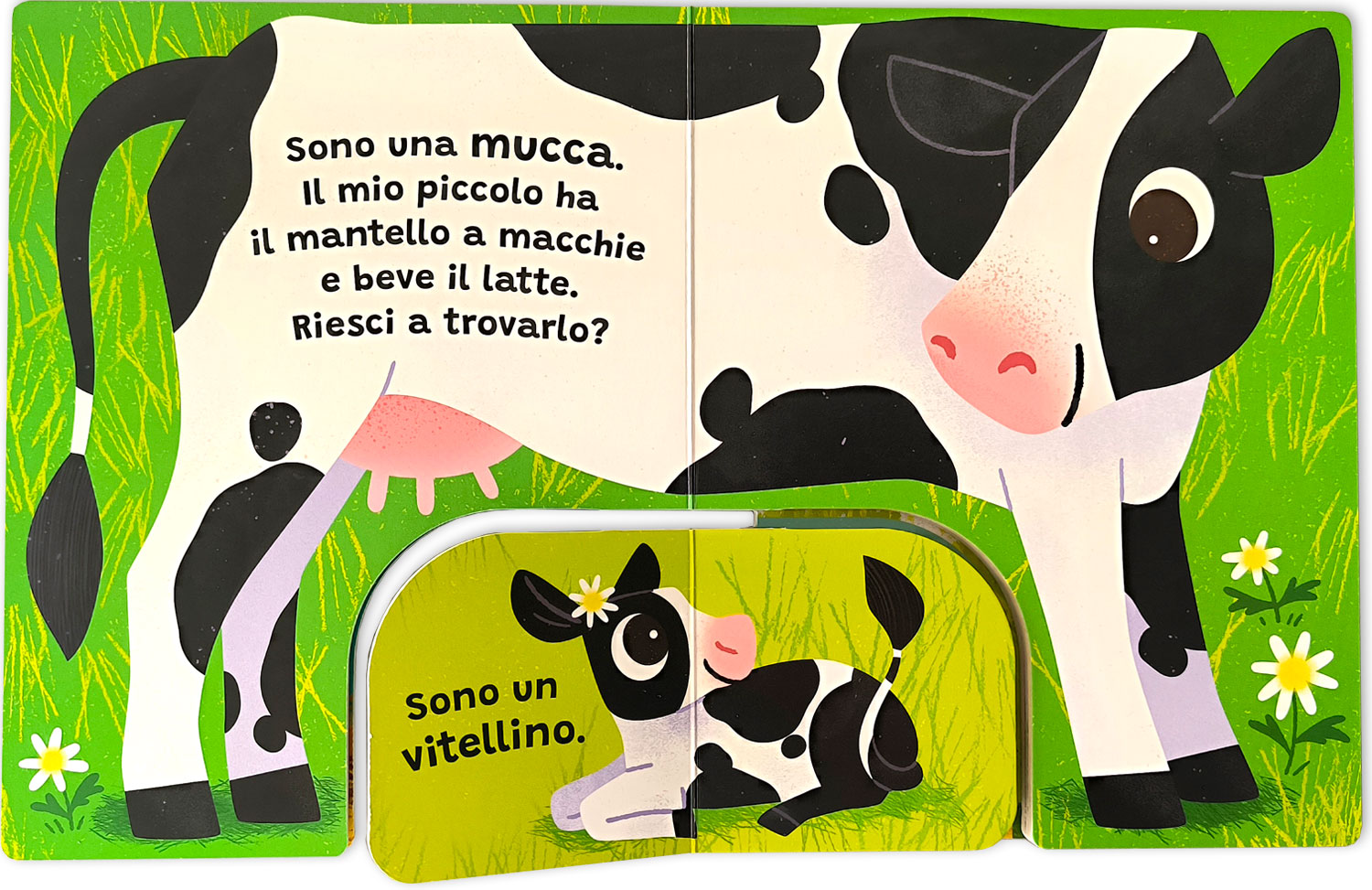 interno Forma la coppia – Fattoria