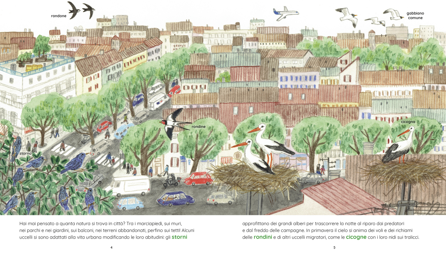 interno La natura in città
