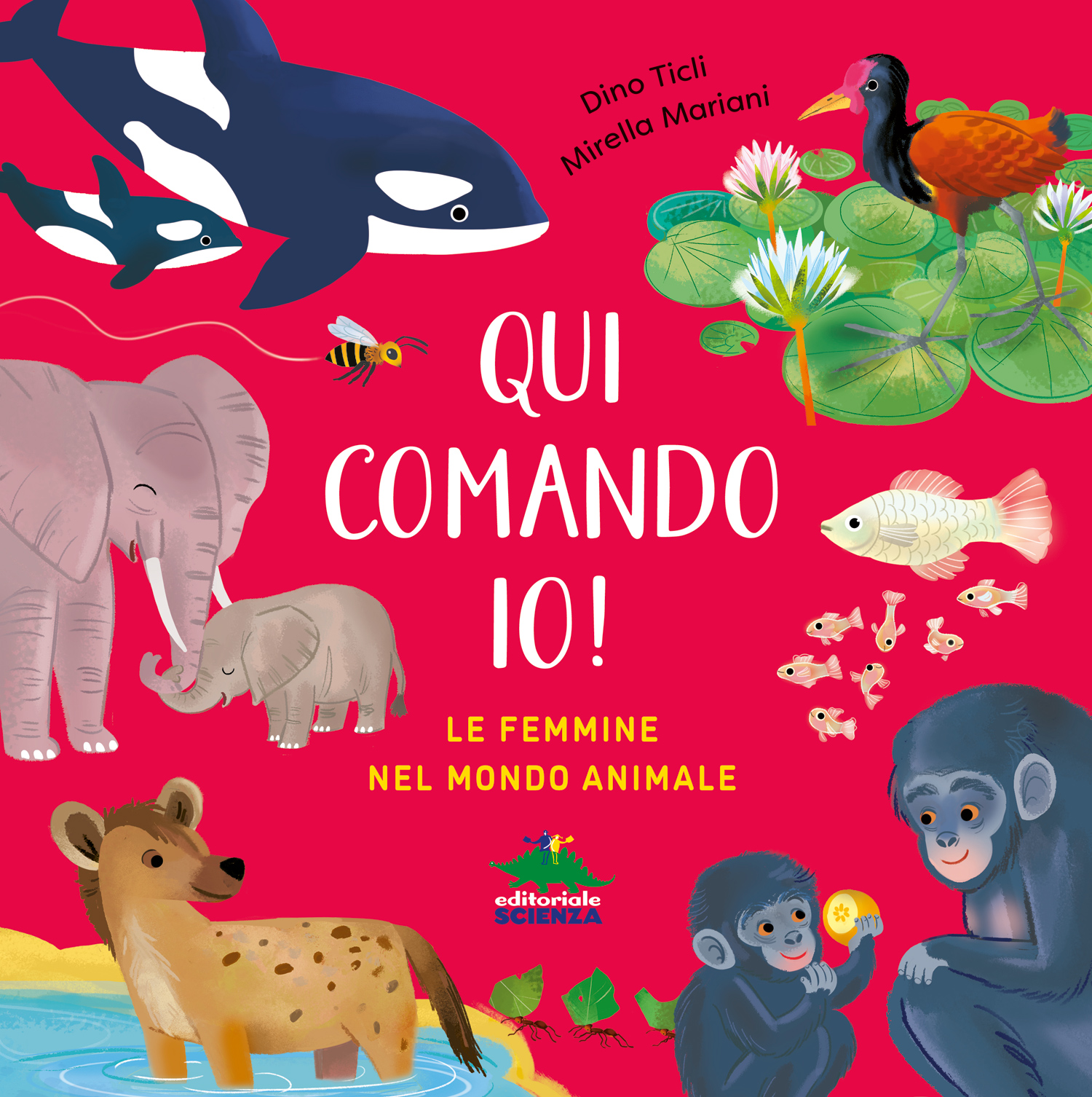 Qui comando io!