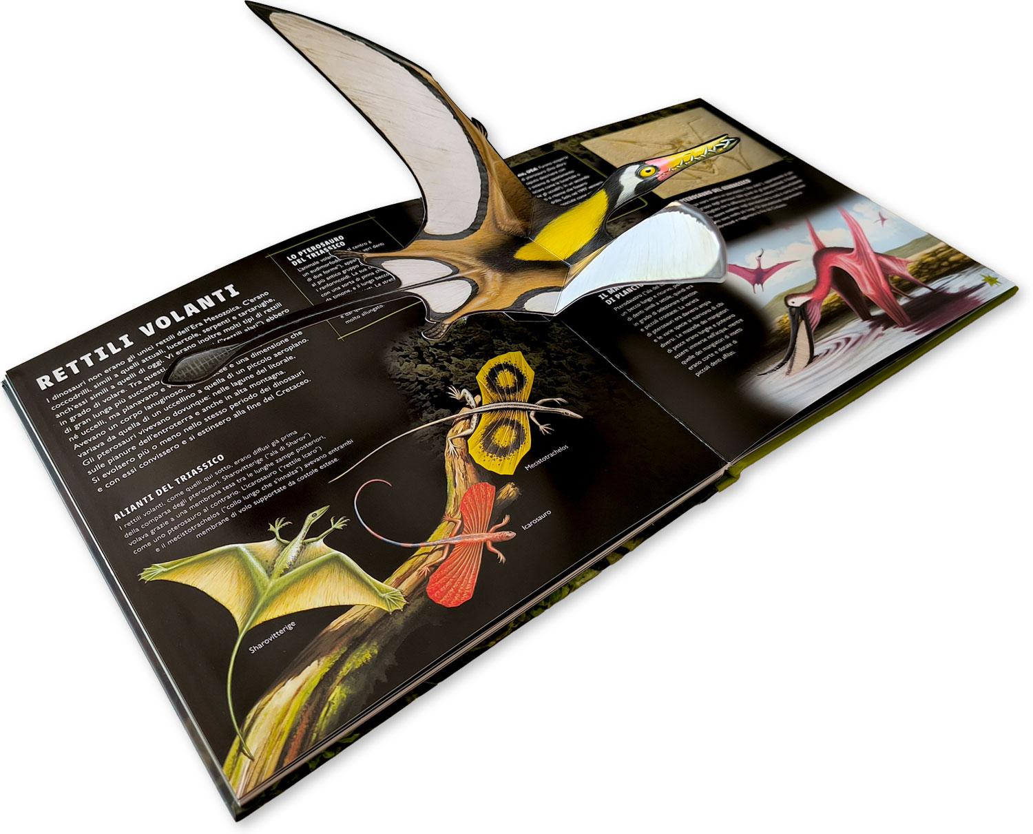 interno Viaggio nel mondo dei dinosauri