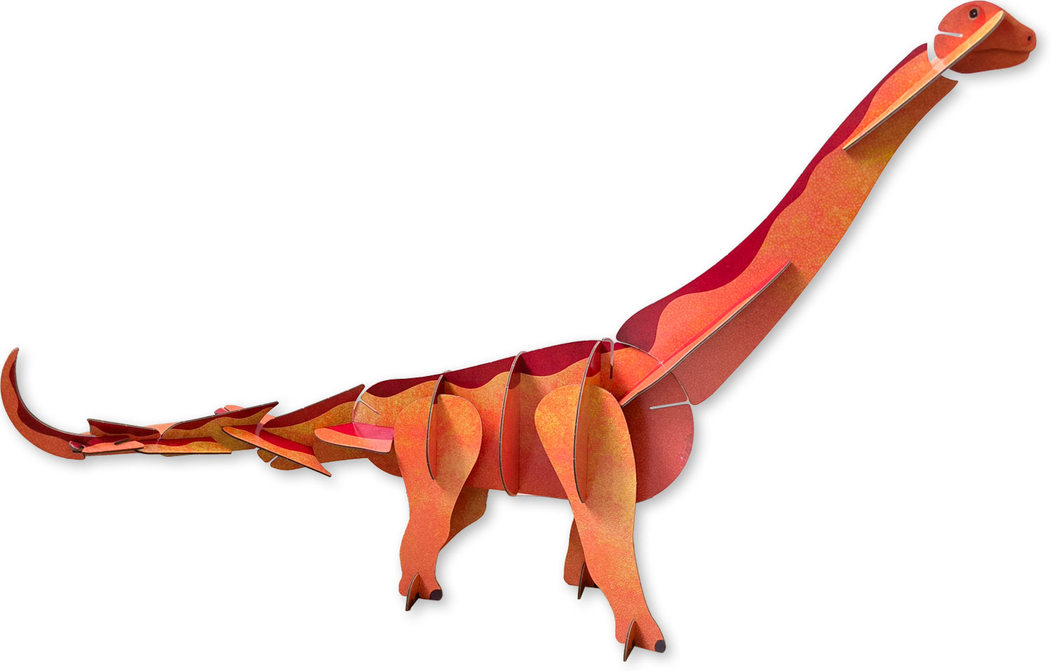 interno Costruisci il tuo titanosauro