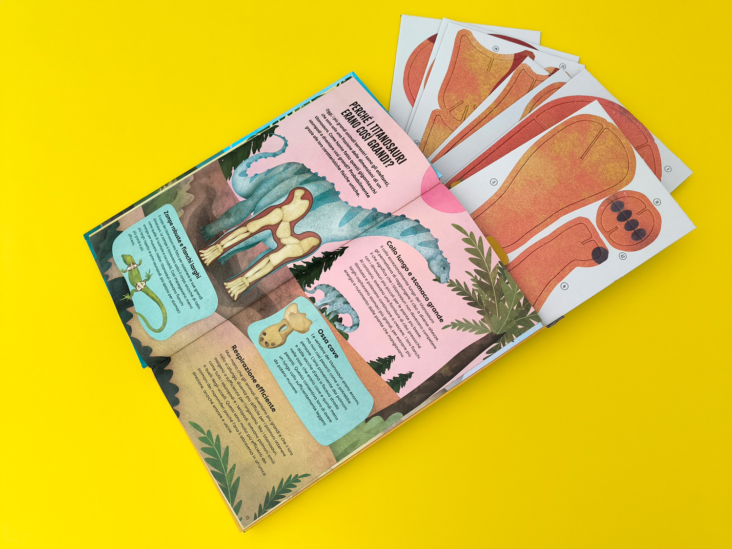 interno Costruisci il tuo titanosauro