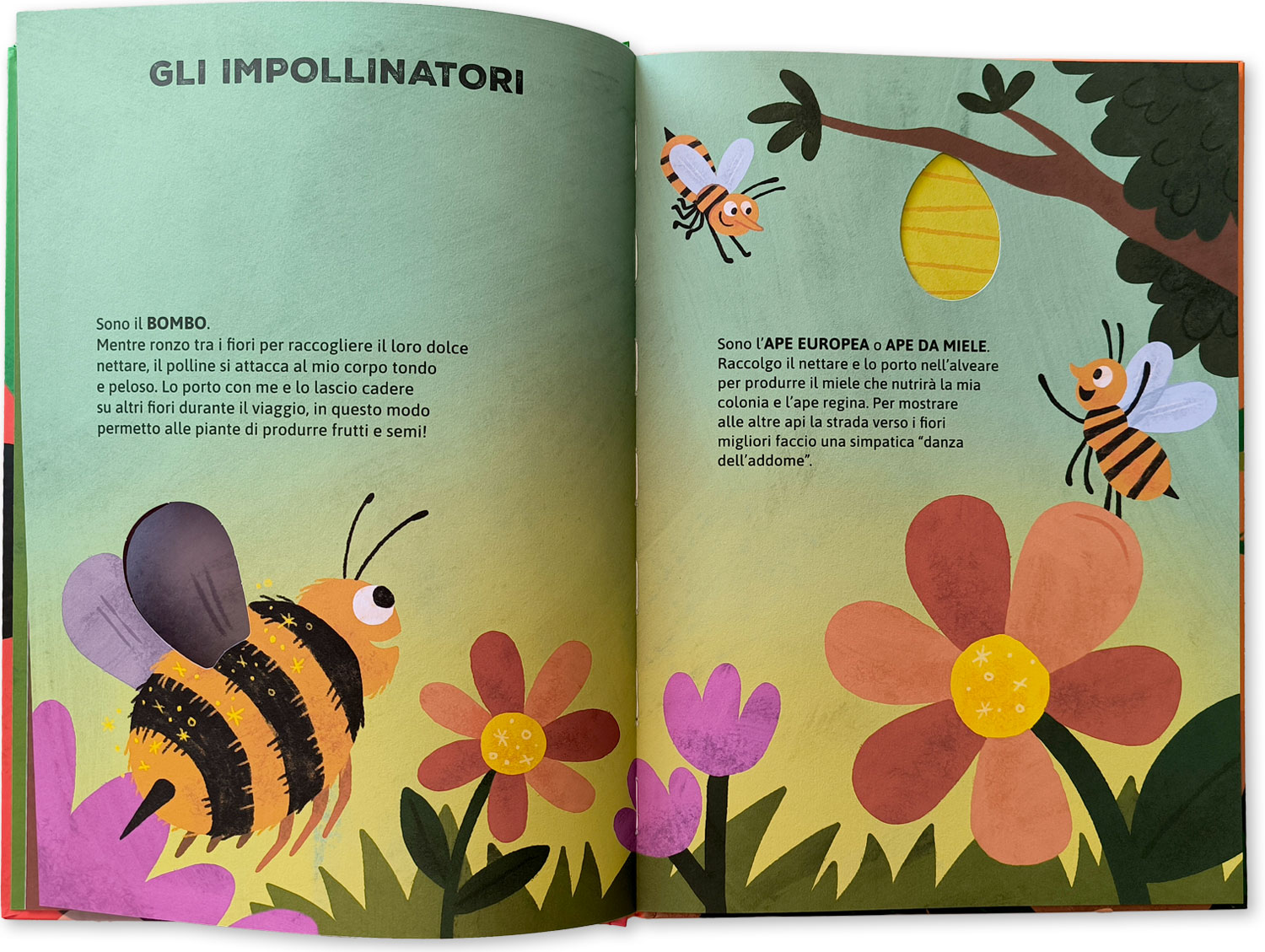 interno Chi vive nel prato?