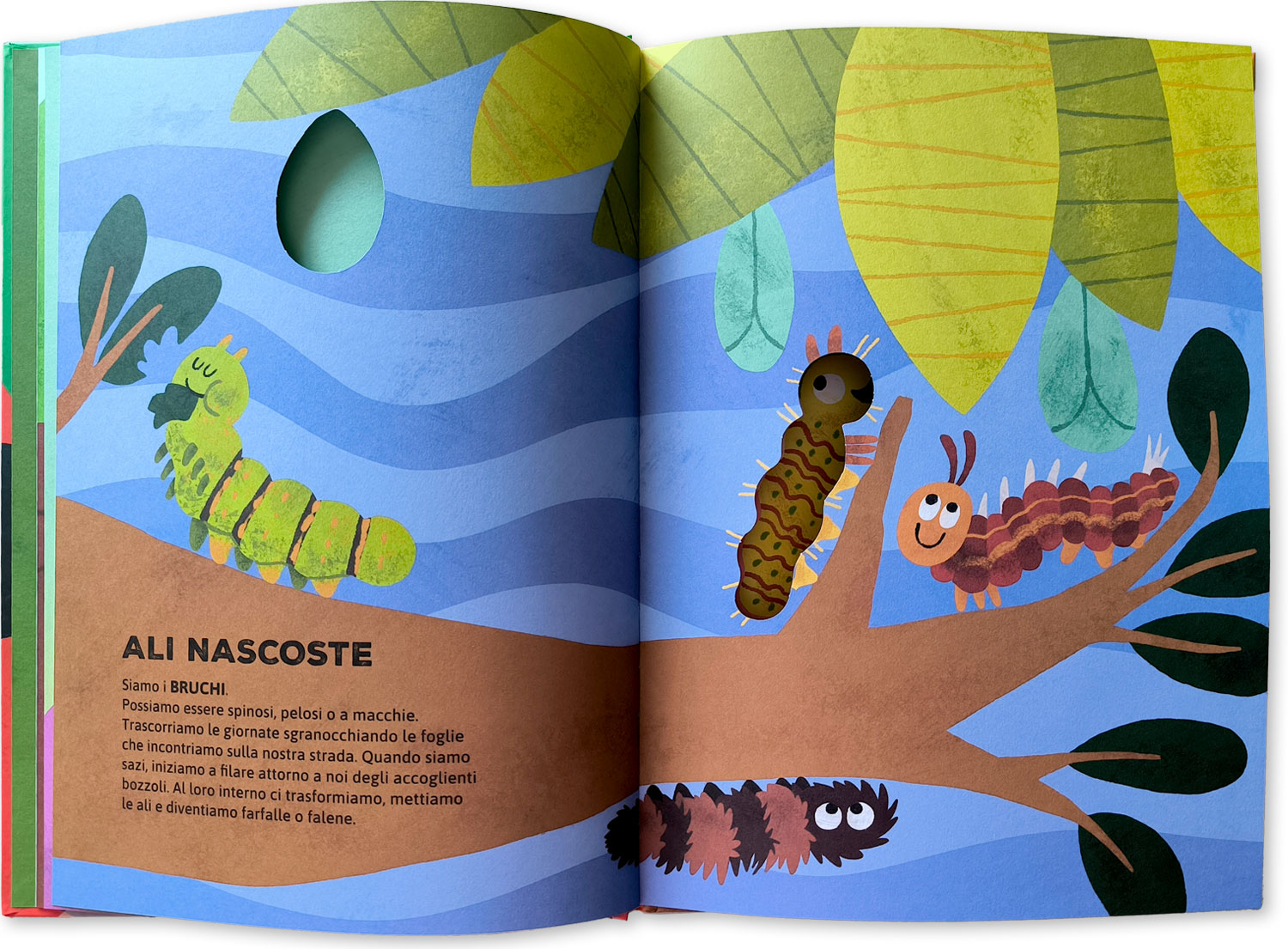 interno Chi vive nel prato?