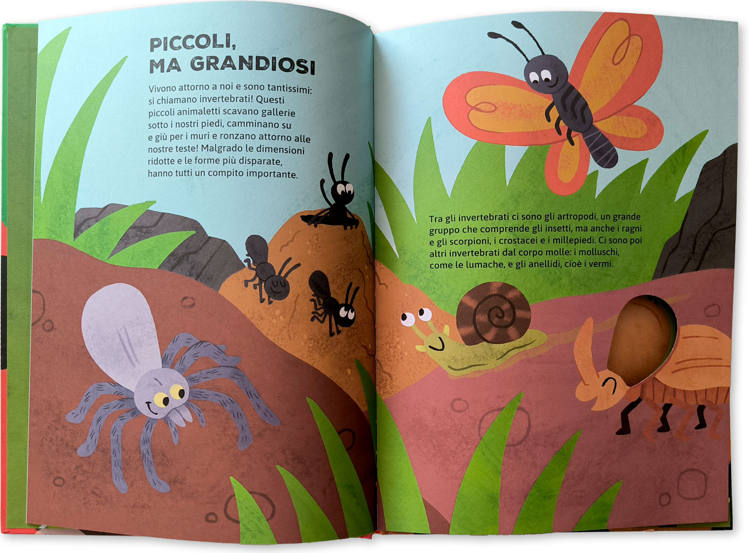 interno Chi vive nel prato?