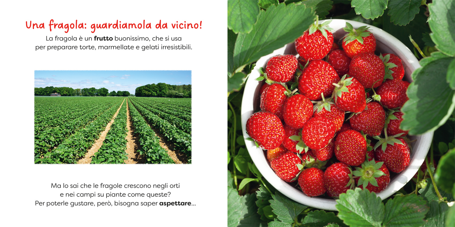 interno Fragola