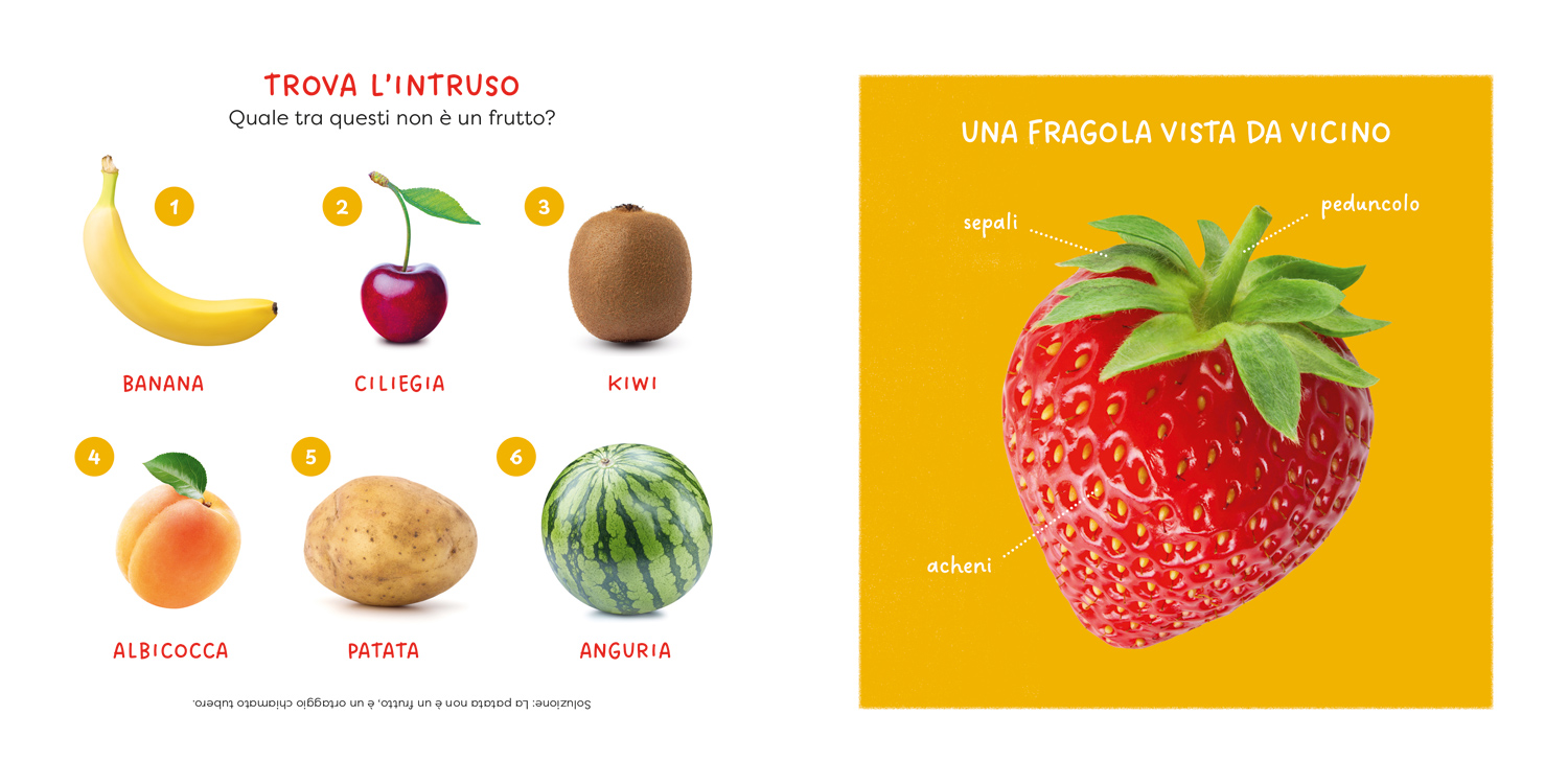 interno Fragola