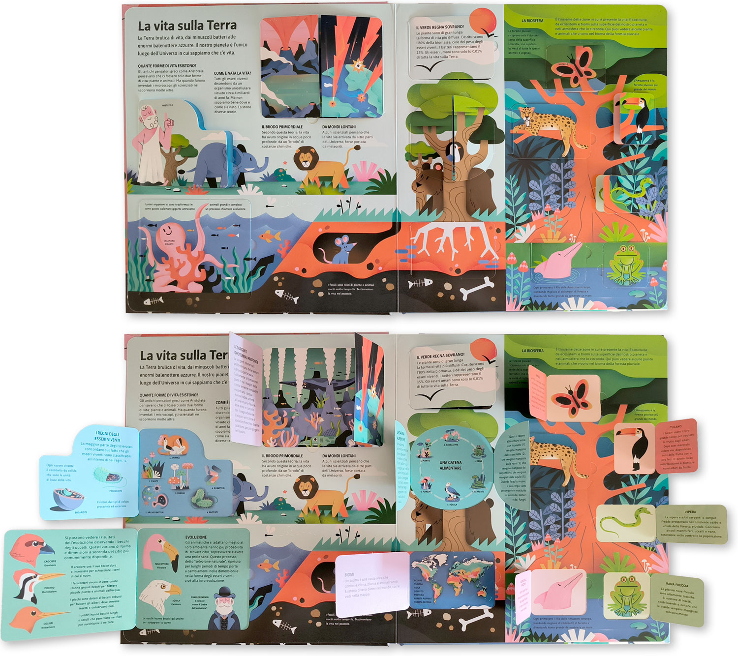 interno Pianeta Terra