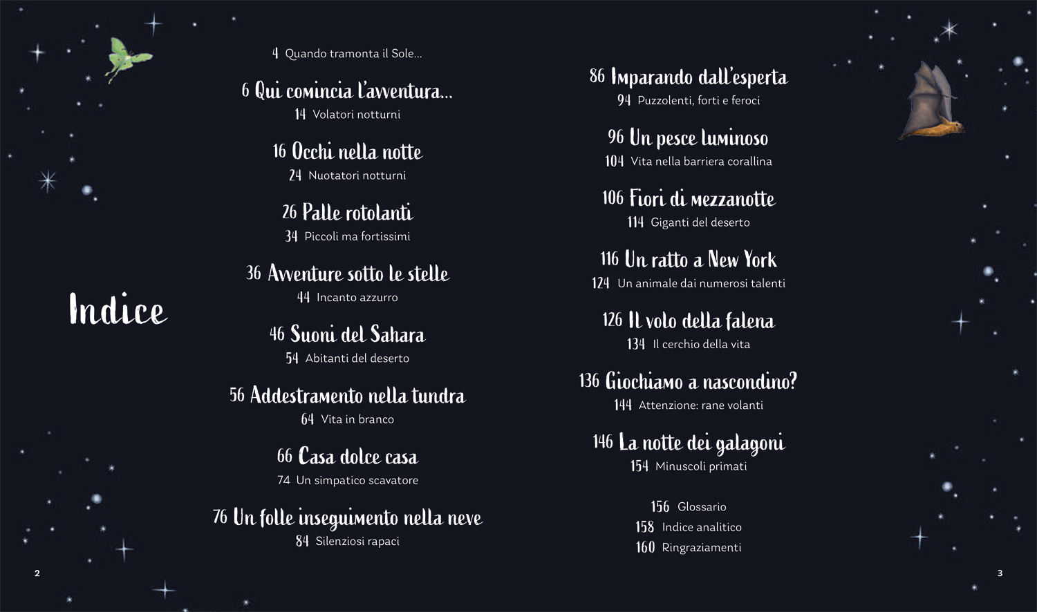 interno I segreti della notte