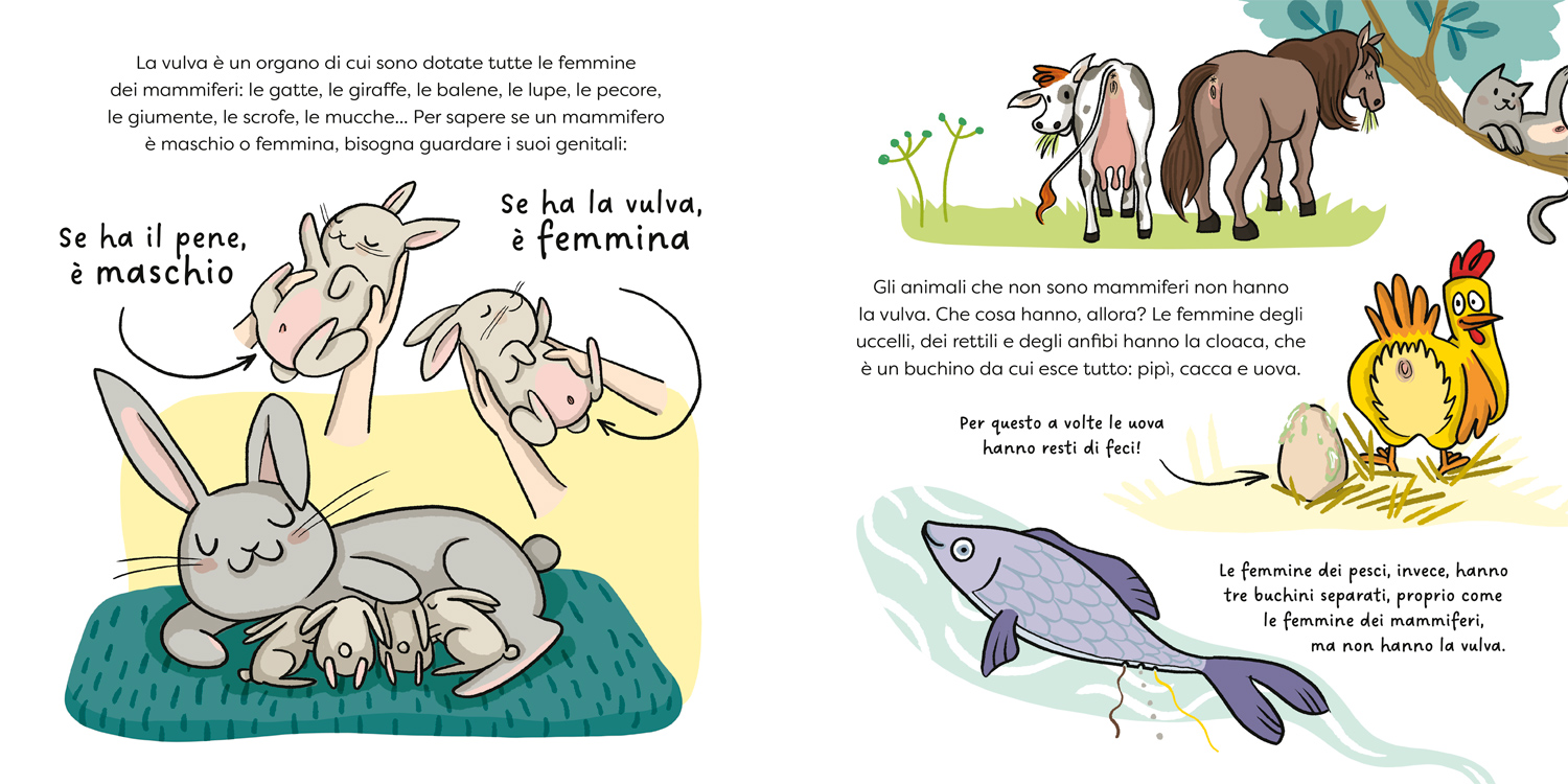 interno Farfallina? Si chiama vulva!