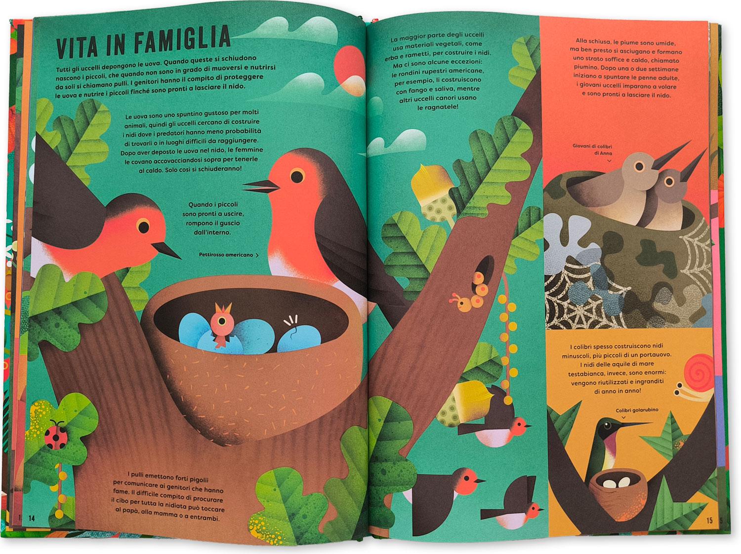 interno Il mio libro degli uccelli