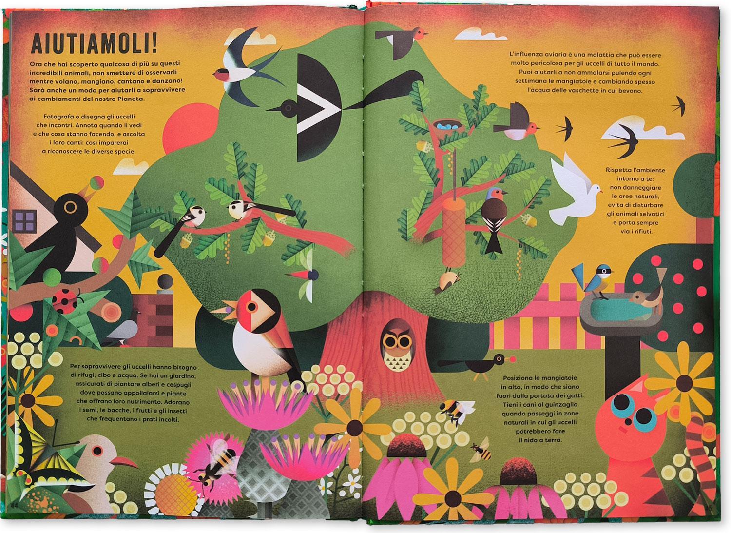 interno Il mio libro degli uccelli