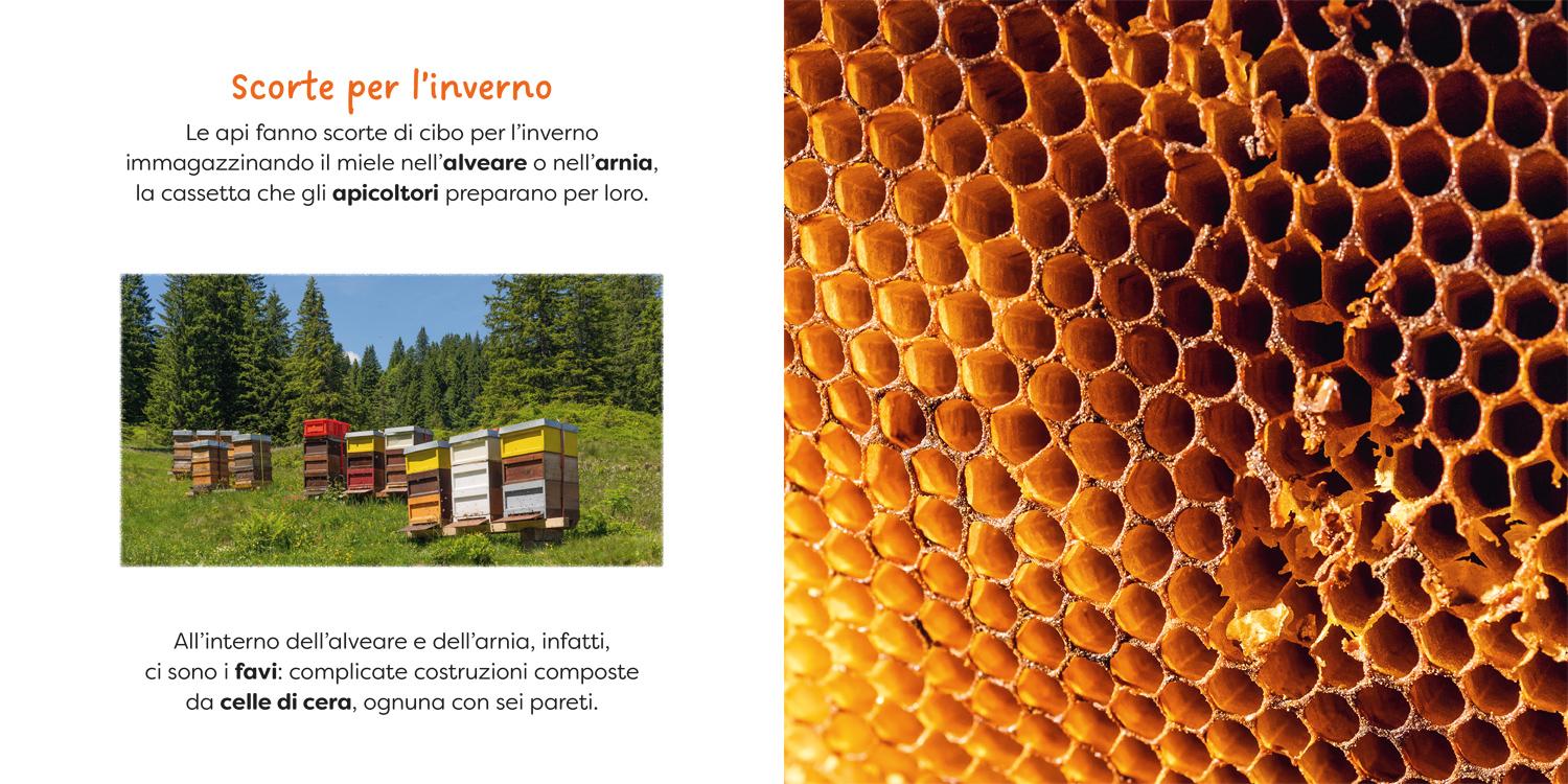 interno Ape