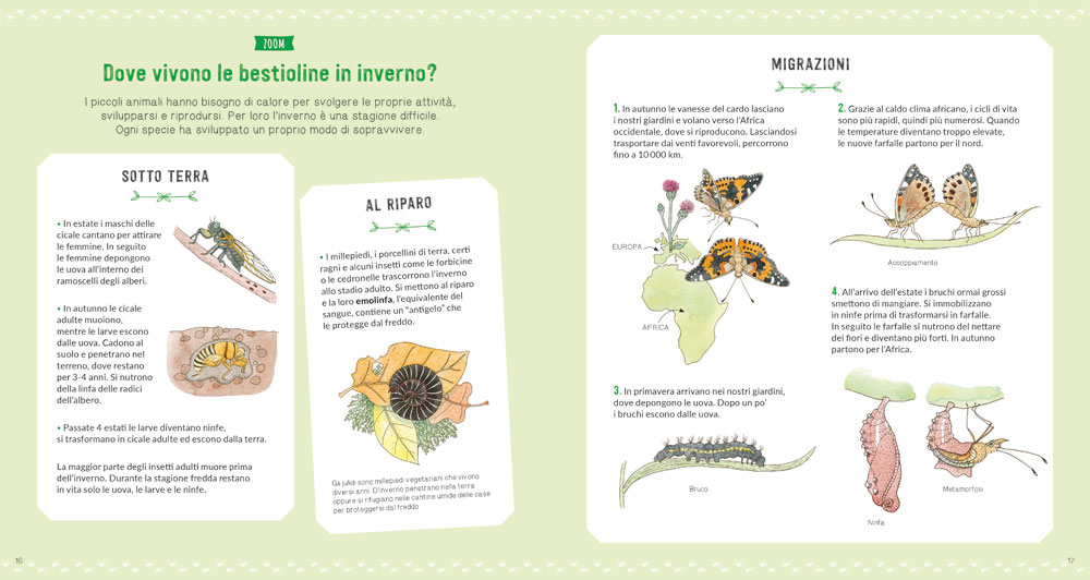 interno Il grande mondo degli animali piccoli