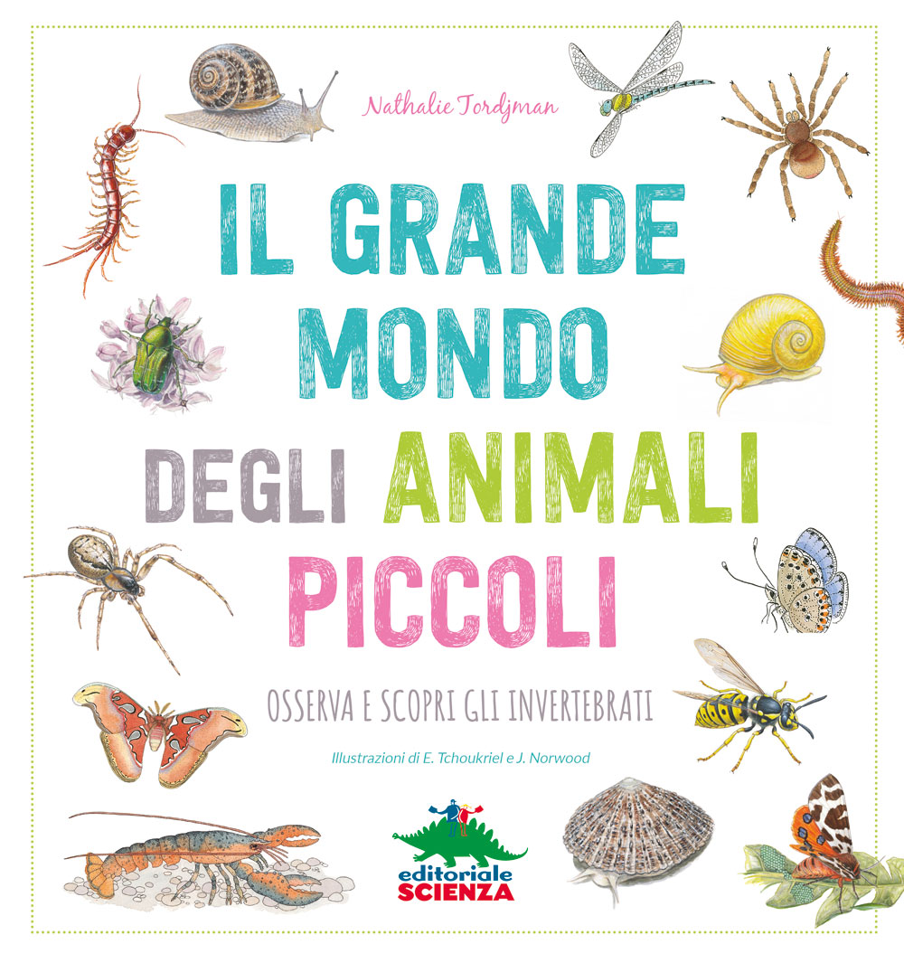 Il grande mondo degli animali piccoli