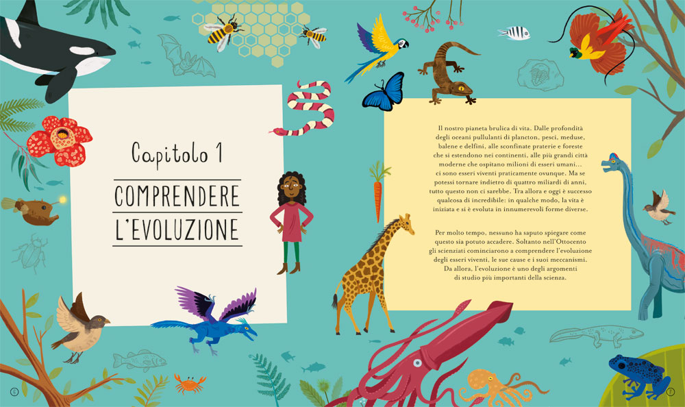 interno Meravigliosa evoluzione