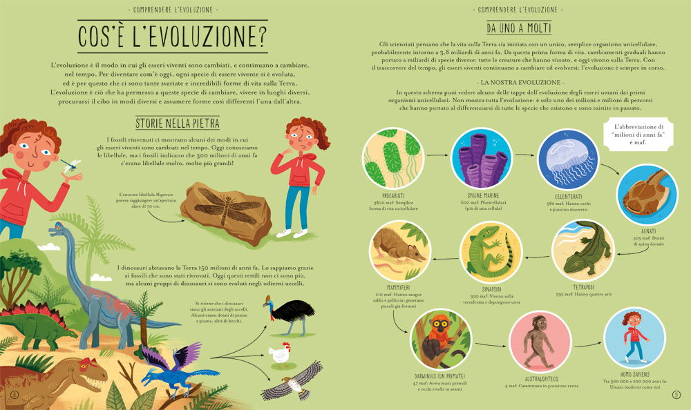 interno Meravigliosa evoluzione