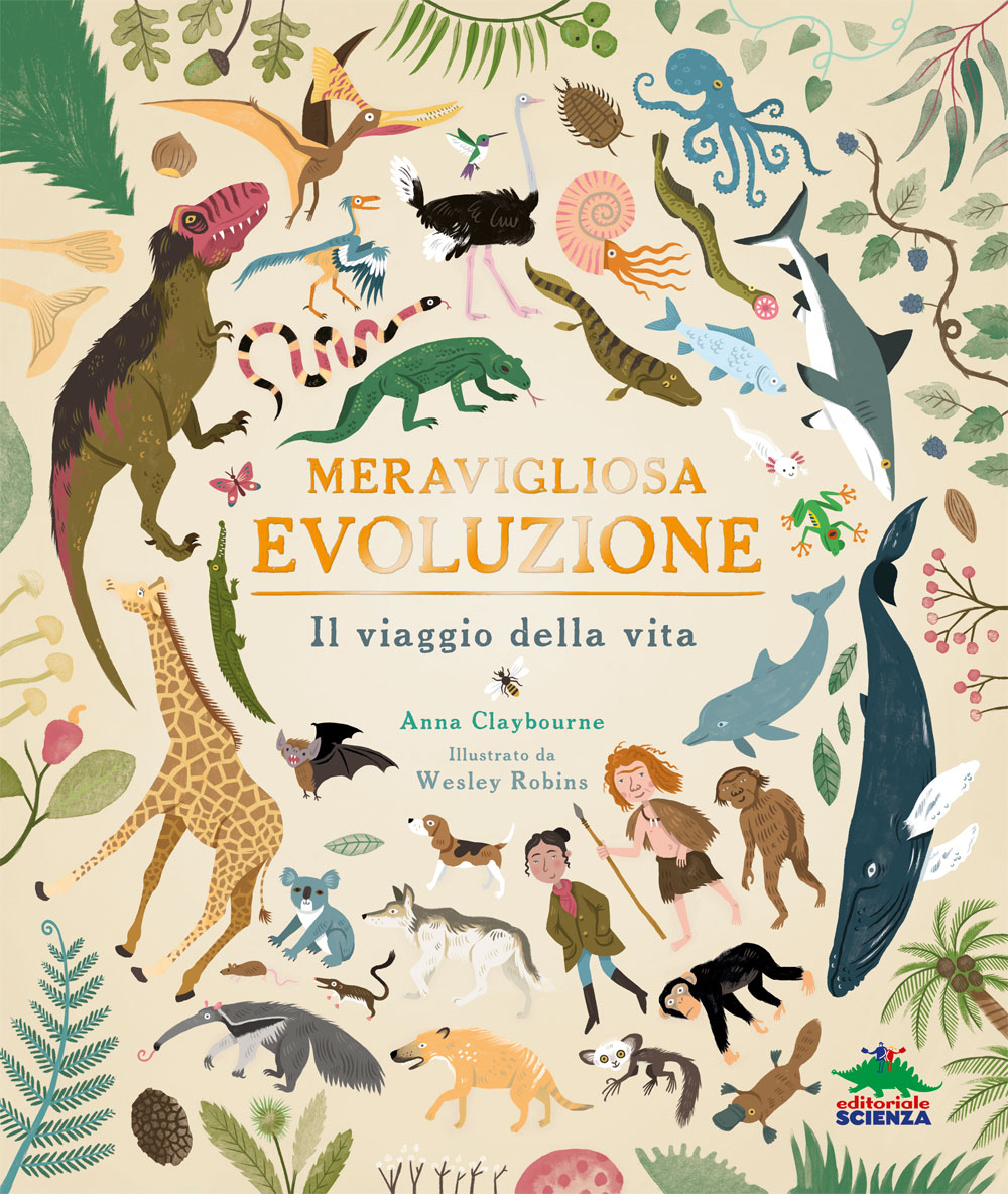 Meravigliosa evoluzione