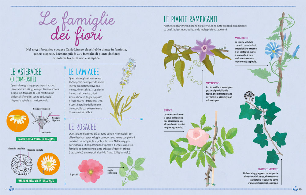 interno Il super libro della natura
