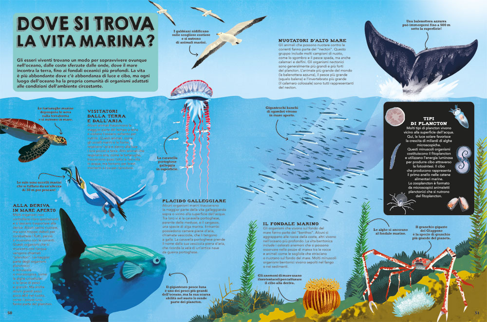 interno Il libro del mare